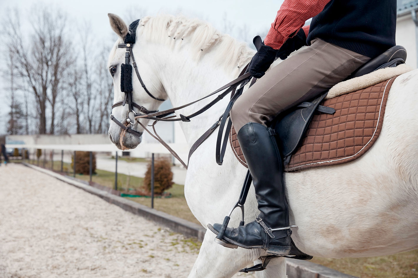 Horseback Riding