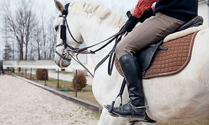 Horseback Riding