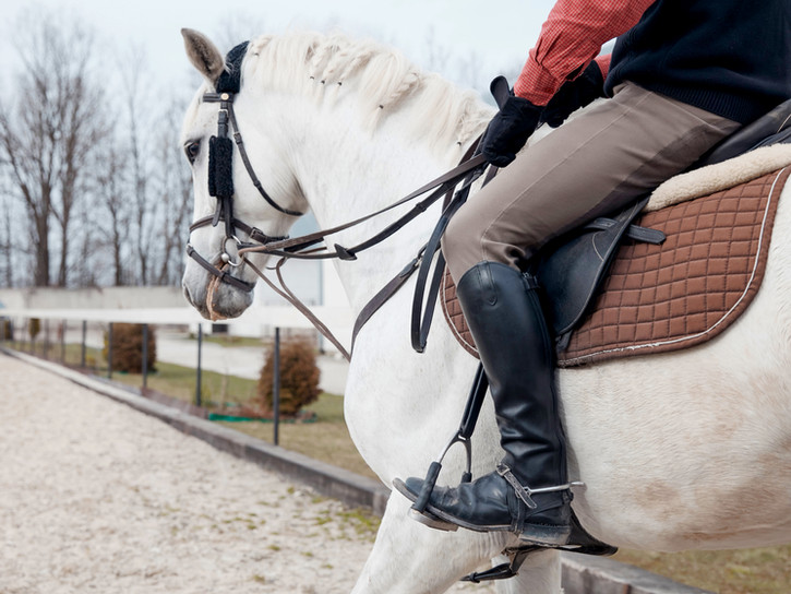 A Bit Less Tack Bend, OR New and Consignment Equestrian Equipment