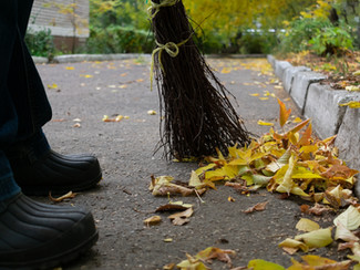 SEASONAL AFFECTIVE DISORDER: WHY DOES THE COLD WEATHER AFFECT OUR MOOD?