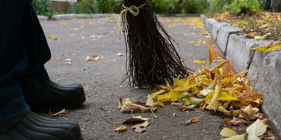 Broom feie fallne blader