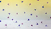 Rain Flowers