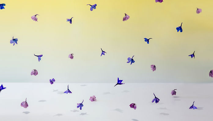Rain Flowers