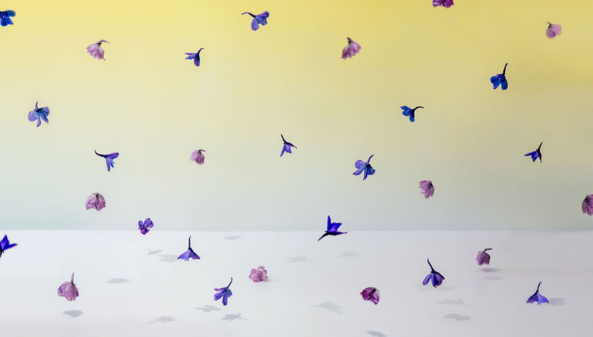 Rain Flowers