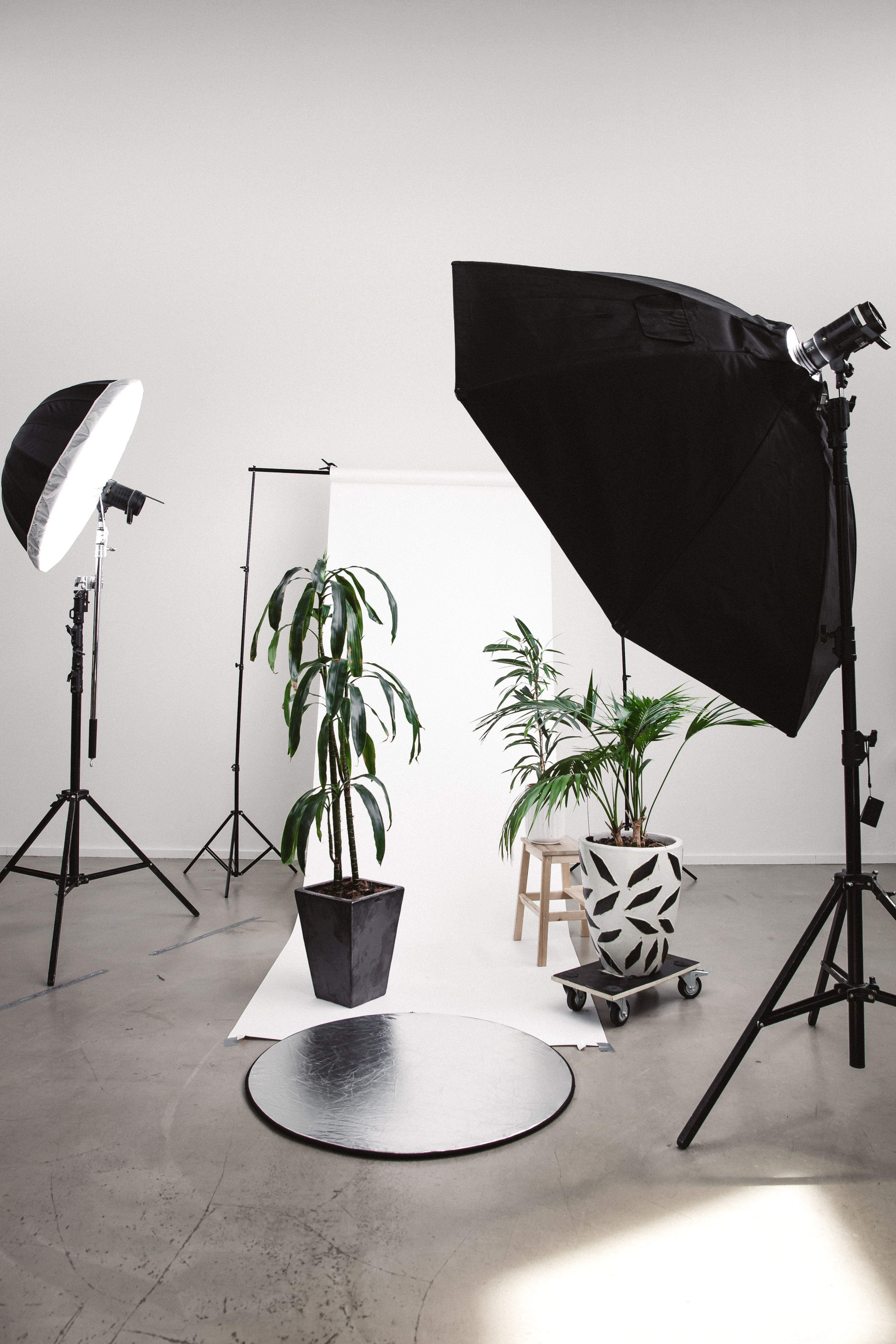 Curso de Fotografia iniciantes+ Edição fotográfica simples