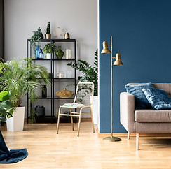 Urban Home with Plants