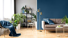 Urban Home with Plants