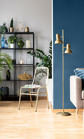 Urban Home with Plants