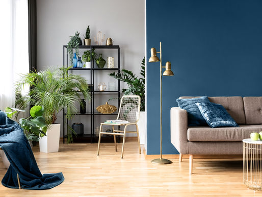 Elevating Your Living Space: Professional Home Remodeling and Design Ideas