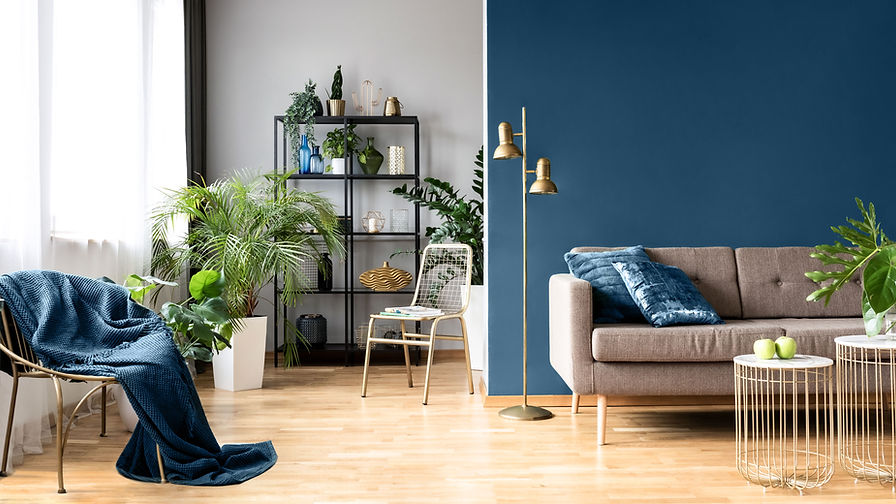 Urban Home with Plants