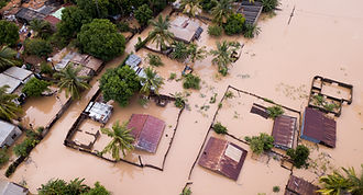 <ul class="font_8">
<li><p class="font_8">Mentorship, </p></li>
<li><p class="font_8">Fieldwork, </p></li>
<li><p class="font_8">Microgrants, </p></li>
<li><p class="font_8">Climate Tech tools</p></li>
</ul>
<p class="font_8"><br></p>