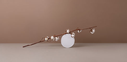 Cotton branch arrangement