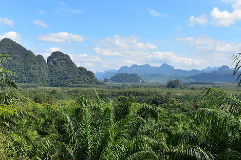 Mountains