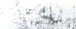 pared grunge