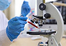 Examining Blood Sample
