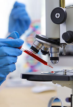 Observing Genetic Samples under a microscope