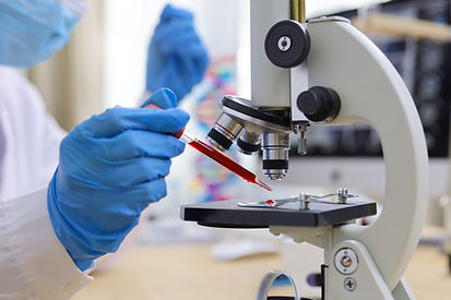 Examining Blood Sample