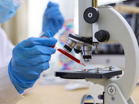 Bellezza che parte dal sangue: i 6 indicatori segreti della longevità