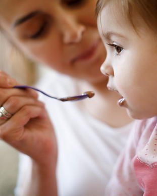 Feeding the Toddler