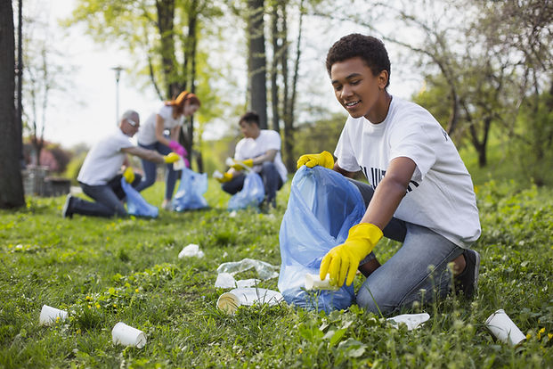 Community Cleanup Effort
