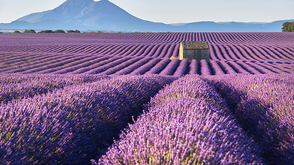 Aromathérapie