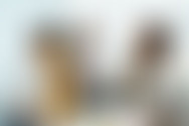 Ferramentas úteis para a vida acadêmica – Parte 2