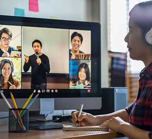 Ver video conferencia