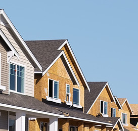 Housing Development