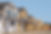 Housing Development