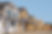Housing Development