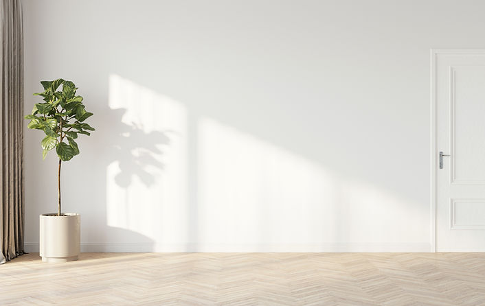 Planter in a white room with wooden flooring