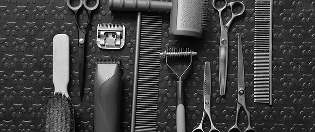 Dog Grooming Tools