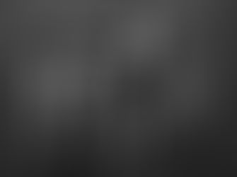 Buying Guide: Choosing The Right Grooming Tools  For Your Cats In 2025