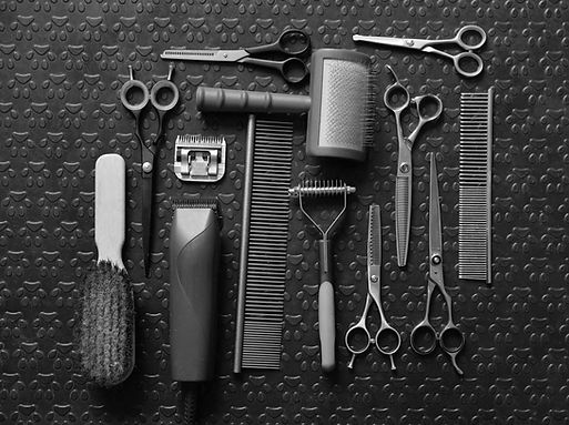 Dog Grooming Tools
