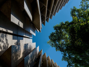 A transparent reflections of Founder Estevön | 9th December 2025