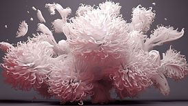 Abstract Corals