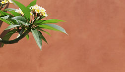 島根県メンエスWarm松江店へのアクセスの背景画像