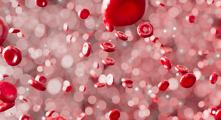 Red Blood Cells