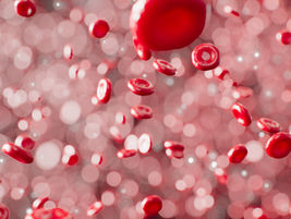 실시간 알림 기능 안내