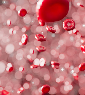 Rote Blutkörperchen