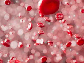 Hormones reconfigure the immune cells of trans men