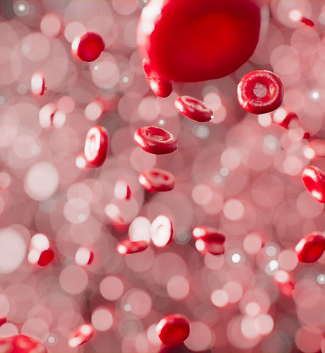 Rote Blutkörperchen