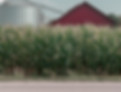 Red barn on a working ranch in Texas, insured by DMI Wealth Management & Insurance Solutions