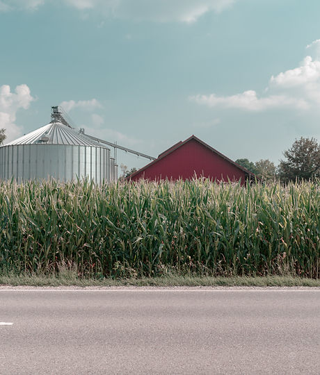 Corn Field Barn