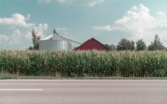 Rural Farm Scene
