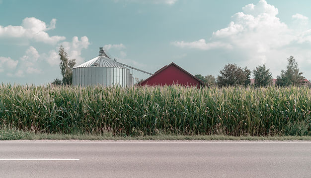 Rural Farm Scene