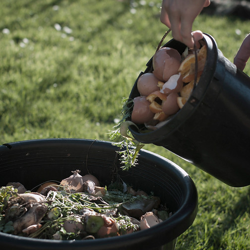 old and rotten vegetables being dumped into a compost bin