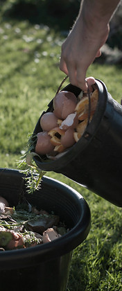 Organic Compost