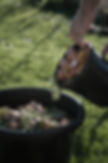 Organic Compost