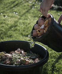 Compost organique
